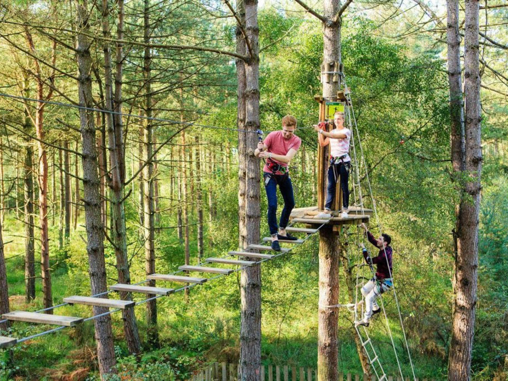 Go Ape in the Scottish Borders